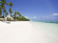 Barcelo Bavaro Palace 5*