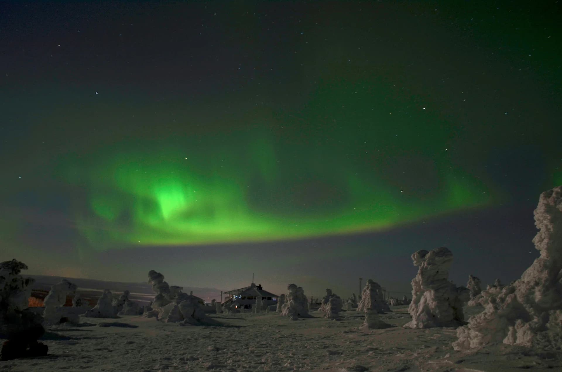 Brillante aurora boreale verde nel cielo stellato della Finlandia sopra un paesaggio di alberi innevati