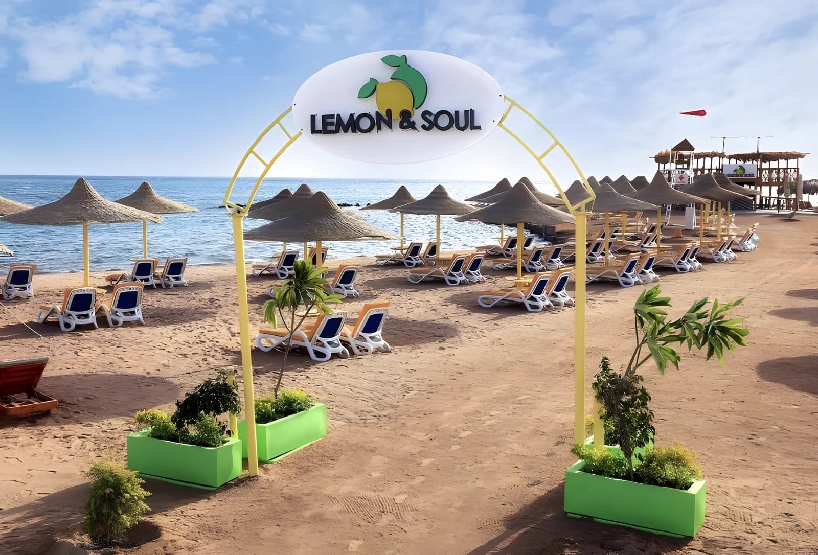 Lemon & Soul Garden Makadi 3*, foto 7