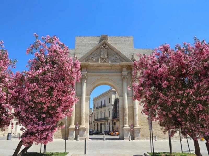 Tour Alla scoperta di Lecce 3*, foto 5