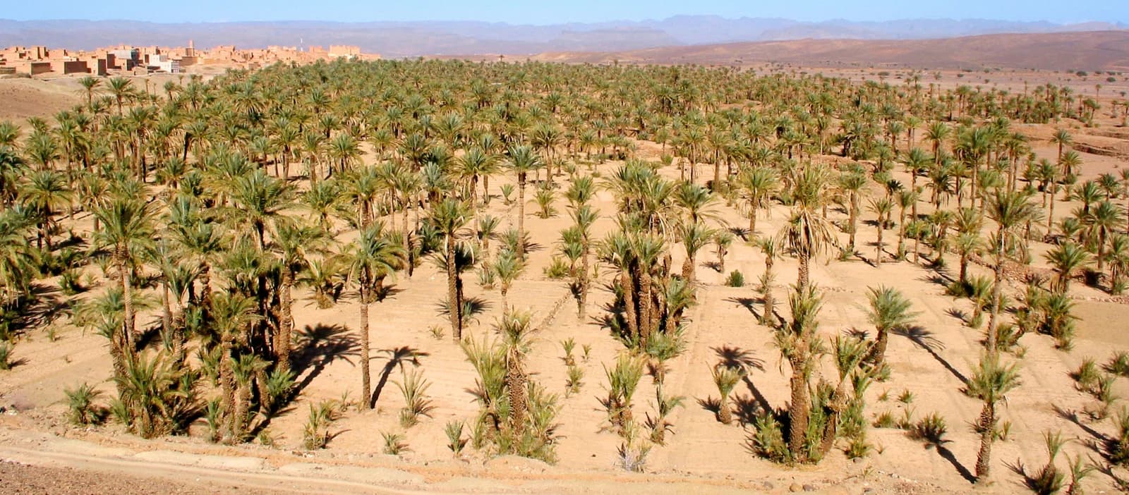 Tour Il Sud del Marocco in 4x4 & Estensione Kenzi Agdal Medina 5*, foto 7