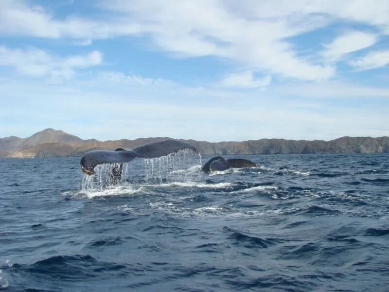 Fly & Drive Baja California meridionale, foto 5