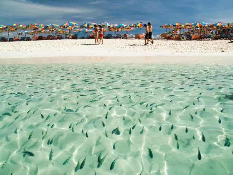 Tour Bangkok, Golden Triangle e Phuket Deluxe - Da Bangkok a Phuket 5*, foto 6