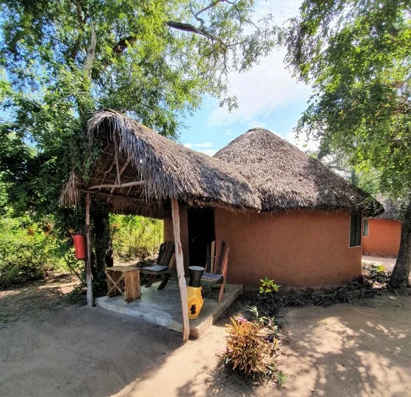 Soggiorno all' Anaya Club Zanzibar 5* & Safari Serengeti 2 notti, foto 4